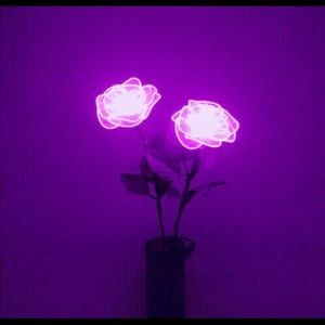 Meet your Posher, Annabelle